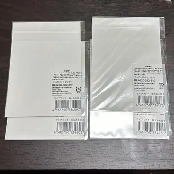 사사키 다이코 라이브 사진