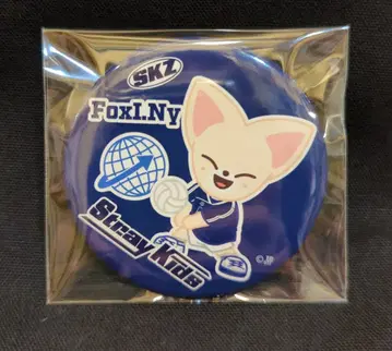 StrayKids 2024 JYP POP UP I.N 캔뱃지 SKZOO