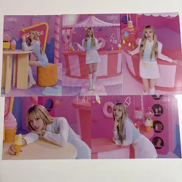 TWICE POPUP 2024 랜트 레인 첼링 컴프