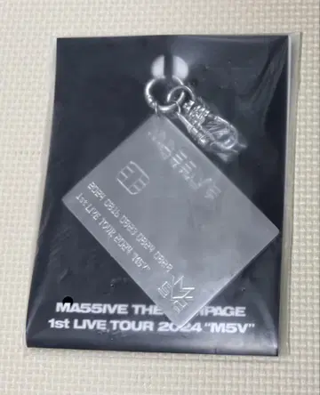 MA55IVE M5V 포토 카드 키 체인