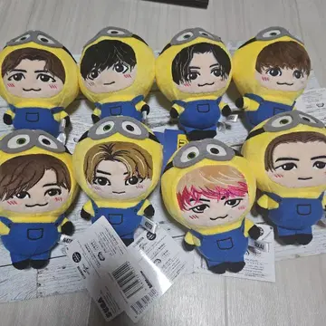 전종! 풀 컴플리트! FANTASTICS MINION 미니언 정리