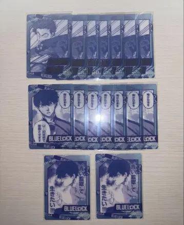 블루 록 파보카 중국 재판매 켄세이 이치 금박 16매 세트