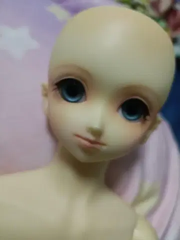 SD 교 천사 백련 헤드 SDgr 바디