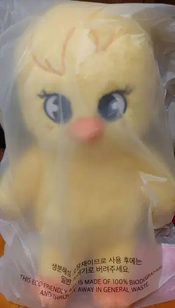 스트레이키즈 SKZOO 테디 포가리