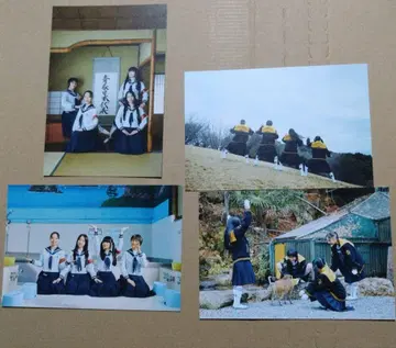 영화 청춘 멧돼지 입장객 혜택 엽서 4종 컴플리트 세트