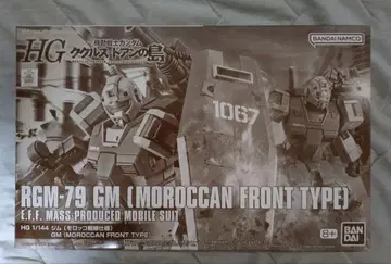 HG RGM-79 헬스장 (모로코 전선 사양)