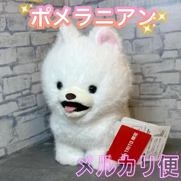 빛난다! 게이밍 포메라니안 봉제 인형