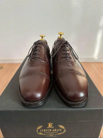 SCOTCH GRAIN 다크 브라운 윙 팁 로퍼