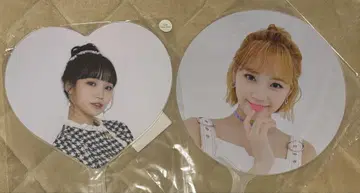 체원 부채 2장 세트