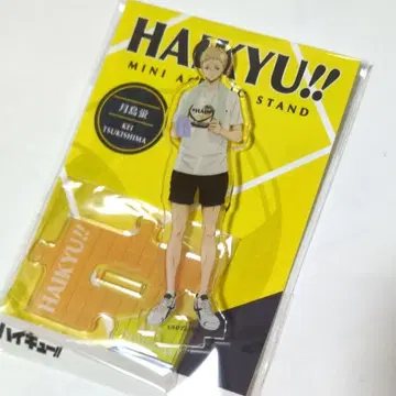 1 / 2 아크릴 피규어 하이큐 쓰키시마