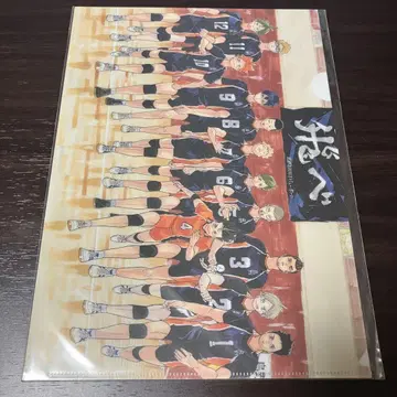 하이큐!! A4 클리어 파일 하이큐 전
