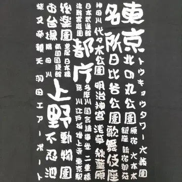미사용 레어템 도쿄 관광 명소 티셔츠 인바운드 기념품
