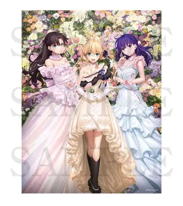 Fate stay night 20주년 기념 콘서트 등신대 천 포스터 모음
