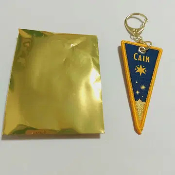 마법사의 약속 5th Anniversary 와펜 카인