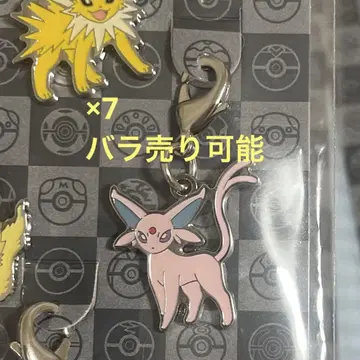 포켓몬 메탈 참