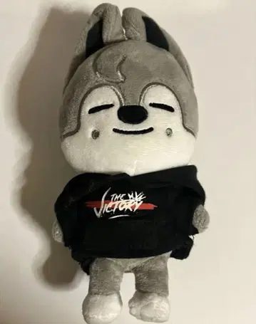 straykids 스키즈 skz 울프찬 미니 사이즈 반찬
