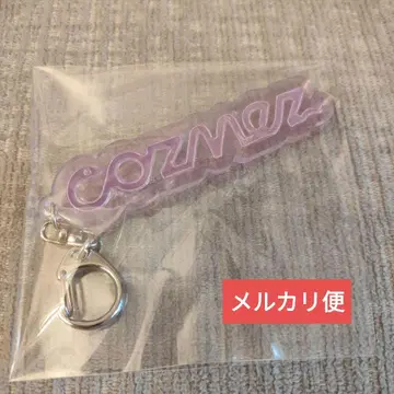 파라라이 리플렉터 키링 cozmez