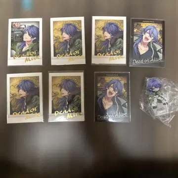 히프노시스 마이크 아루스가와 테이토 파샤 이것 금박