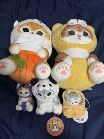모프 샌드 봉제 인형 세트