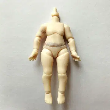 차원계 TOY NAGI 유학 시즌 토비네코 블라인드 인형 바디