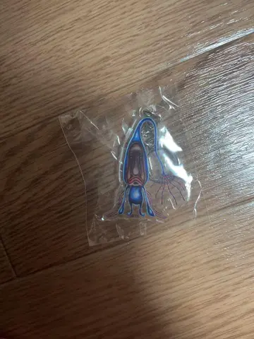 코비토즈칸 아크릴 키링