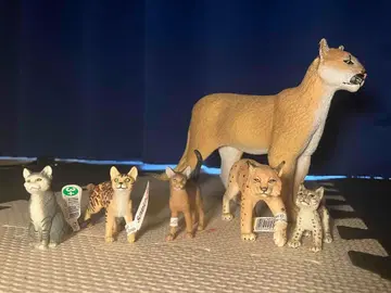 택 포함 슐라이히 사파리 피규어 schleich 고양이 야생 고양이