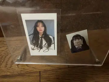 fromis_9 지혼 아이돌 사진 세트