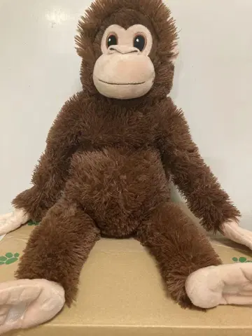 브라운 원숭이 봉제 인형 중형