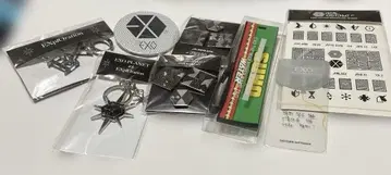EXO 핀즈 배지 세트 베키 수호