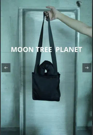 MOON TREE PLANET 문 트리 플래닛