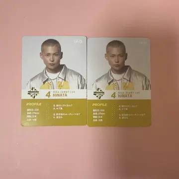 SEGA Sammy LUX 세가 사미 HINATA 노멀 트레이딩 카드