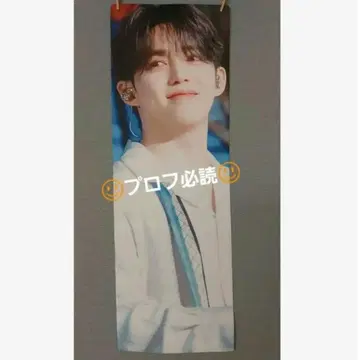 에스크푸스 슬로건 승철 세븐틴