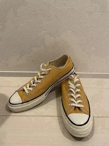 CT70 27.5cm 미사용 새상품 썬플라워 로우 컷