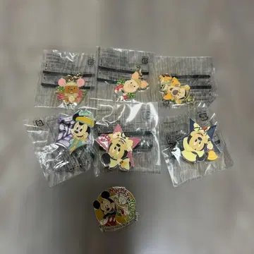 디즈니 핀 배지, 키링 세트