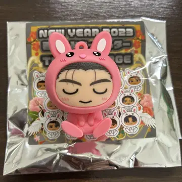 하세가와 신 인형옷 키링 토끼 레어