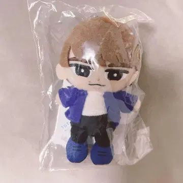 스노치루 와타나베 쇼타
