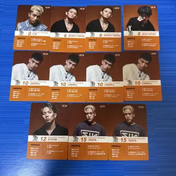 FULLCAST RAISERZ 노멀 트레이딩 카드 11장 세트