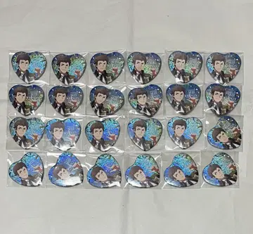SideM M 페스티벌 캔뱃지 세이지