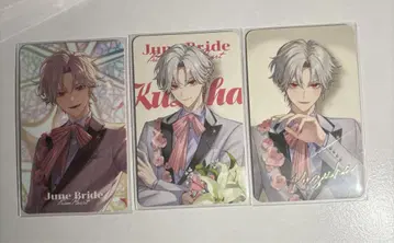쿠츠하 준 브라 June Bride 사진풍 카드