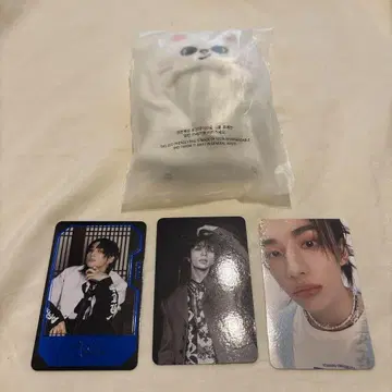 스트레이키즈 SKZOO 10cm 의상