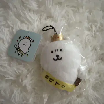 나가노의 곰 자신 있는 마스코트