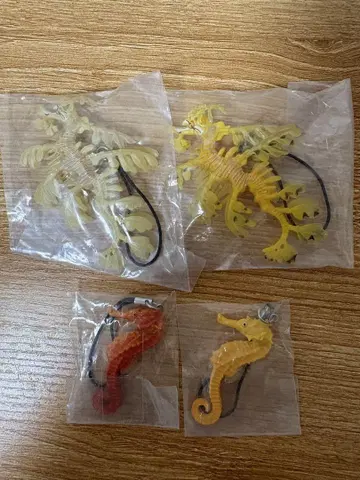 해마 리프 시드 드래곤 스트랩 네이처 테크니컬러