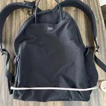 스탠다드 공급 와루루