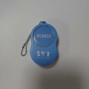 SEVENTEEN 원우 보이스 키링