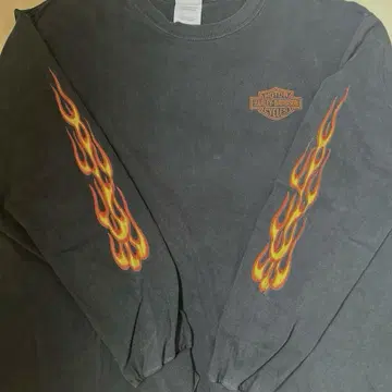 00s HARLEY DAVIDSON 할리 프레임 파이어 롱 T