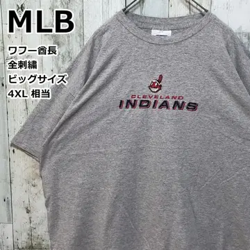 MLB 인디언즈 티셔츠 와후 추장 자수 로고 4XL 상당 그레이 90s