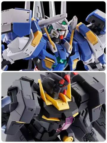 RG 건담 아바란치 엑시아 돌진 HG 건담 프루토네 블랙