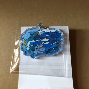 포켓몬 OTENKI TEAM 카이오가 누메라