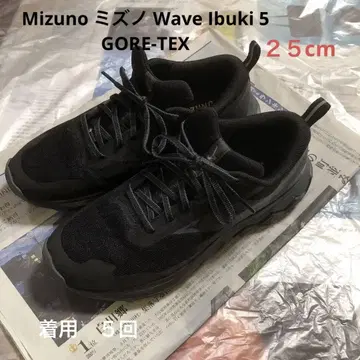 Mizuno 미즈노 Wave Ibuki 5 GORE-TEX