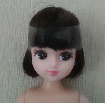 비쥬 시리즈 리카짱 본체만